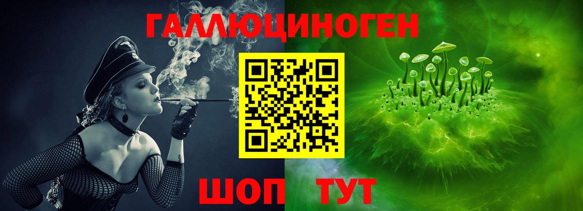 цена наркотик  Псилоцибиновые грибы Magic Shrooms  Вход с VPN  Псилоцибиновые грибы Magic Shrooms  Шелехов 